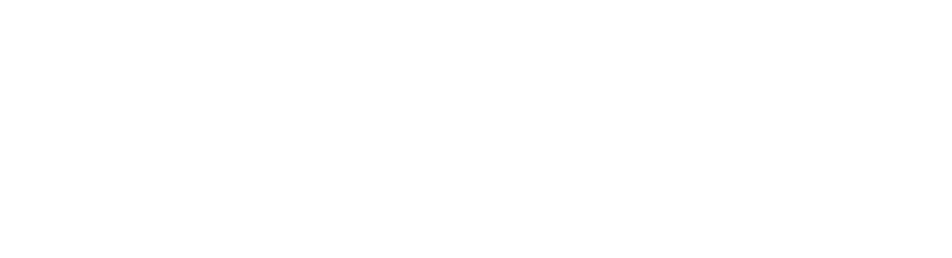 REI Data Pros