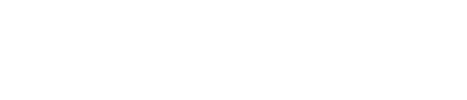 REI Lead Pros